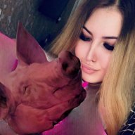 Taiohi_Xahhimi