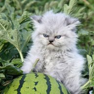Evgeniy_Sotnikov