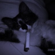 Solo_Morgenshtern