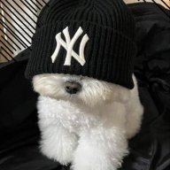 Hayoto_Incognito