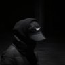 Dava_Rose