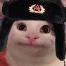 Shakro_Vorovskoy