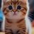 Dima_Hamiliom