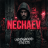 Sergey_Nechaev