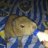 Trixie_Mortiz