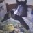 Lord_Kasper