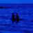 Will_Harris
