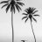 Valeria_Well