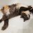 Georgiy_Mur