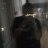 Aman_Kim