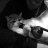 Winchester_Destallione