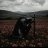 Egor_Hollmes