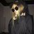 Raffael_Wolfrand
