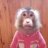 Krik_Krasin