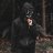 Dimas_Wilson