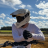 Windy_Cassell