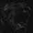 Maksim_Forbes