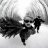 Dima_Borzov